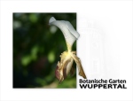botanische-garten-wuppertal.jpg