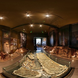 paleontologische-museum-krasiejow.jpg