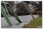img_8556