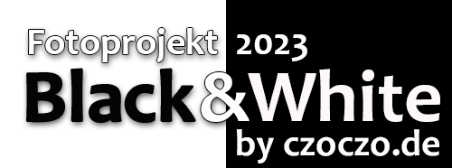 Black & White 2023