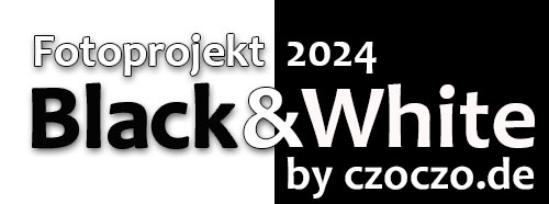 Black & White 2024