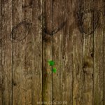 2023-09-15-9A1A1316-Durch