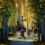 2022-11-01-9A1A1267-Herbst