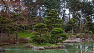 20250326-9A1A2993-Japanische-Garten-Duesseldorf