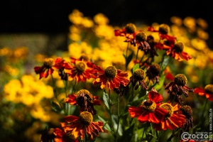 20250821-9A1A4051-Nature-Thursday-2025-36