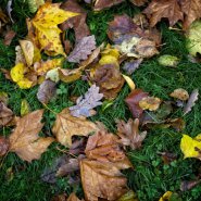 20251026-9A1A4855-Nature-Thursday-47