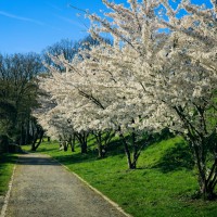 2026-03-18-9A1A6850-Nature-Thursday-12