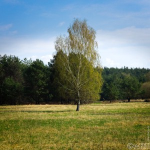 2026-04-17-9A1A7477-Dambinietz-Landschaft