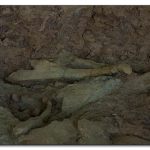 img_4810_0