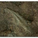 img_4818_0