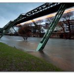 img_8550