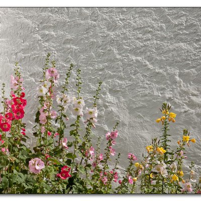 blumenbeet