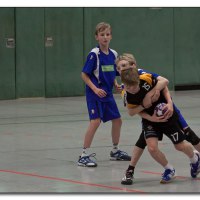 img_6546