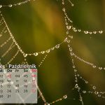 oktober_1