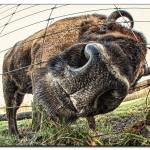 was-kukst-du-img_4638
