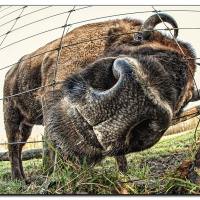 was-kukst-du-img_4638