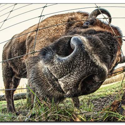 was-kukst-du-img_4638