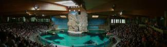 delfinarium.jpg
