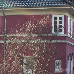 2015-revuenon-test-a