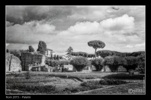 20151005-IMG_4317-Palatin