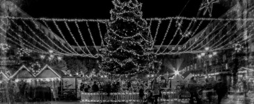 IMG_6817-1Advent2016