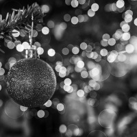 IMG_7044-2Advent2016