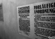 20190705-Schindler-20190712-000454