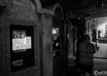 20190705-Schindler-20190712-000459