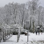 20210108-Winter-ist-da-9A1A0491