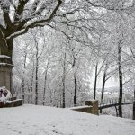 20210108-Winter-ist-da-9A1A0487