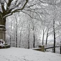 20210108-Winter-ist-da-9A1A0487