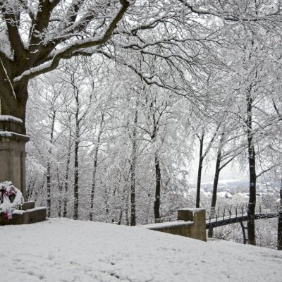 20210108-Winter-ist-da-9A1A0487