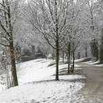 20210108-Winter-ist-da-9A1A0496