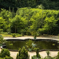 20210619-Sanssouci-Park-9A1A2947