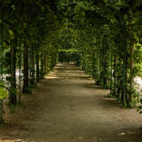 20210619-Sanssouci-Park-9A1A2942