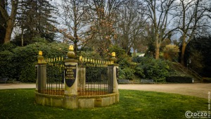 20220214-_A1A5058-LR-Friedenseiche