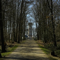 20220305-_A1A5469-ON1-Toelleturm