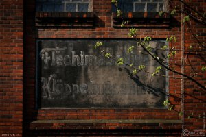 20050331-IMG_8168-ON1-Flechimaschinen