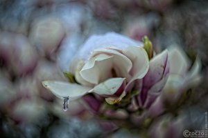 20220402-9A1A6029-ON1-Eingefroren