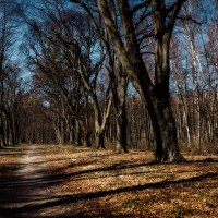 20220328-9A1A5883-Bearbeitet-LR-Annaberger-Kalvarien-Pfad