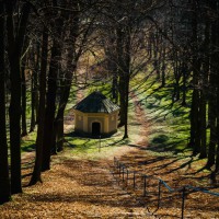 20220328-9A1A5839-LR-Annaberger-Kalvarien-Pfad