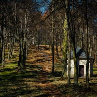 20220328-9A1A5890-LR-Annaberger-Kalvarien-Pfad