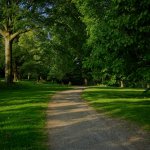 20220518-9A1A7286-ON1-Gruene-Lunge-der-Stadt