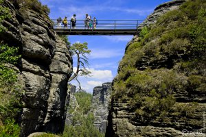 20220605-9A1A8453-ON1-Bastei