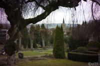 2022-12-27-9A1A2234-ON1-TTArtisan-50mm-1