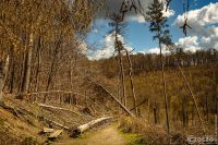 9A1A6599-230414-Bergerhoff