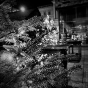 20211128-9A1A4208-ON1-1Advent2021 20211128-9A1A4208-ON1-1Advent2021