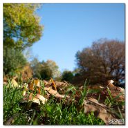 natur-herbst2