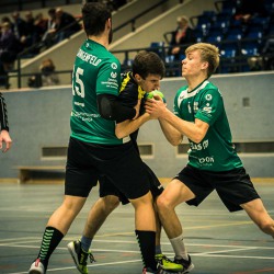 20161112-IMG_6341-HSV A1-Langenfeld