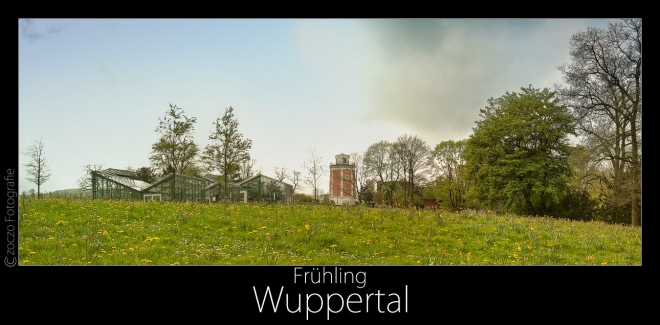 fruehling